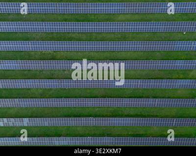 Des rangées de panneaux solaires couvrent un champ d'herbe verte, montrant des modèles propres et de l'énergie renouvelable dans un cadre durable. Banque D'Images