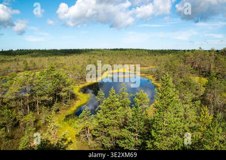 Le parc national de Lahemaa (Estonie) présente un paysage pittoresque avec des tourbières verdoyantes et un étang tranquille entouré de forêts denses de conifères. Banque D'Images
