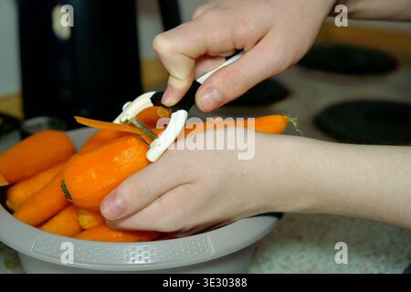 Gros plan détaillé d'une personne épluchant des carottes orange crues à l'aide d'un éplucheur en céramique blanche sur un comptoir de cuisine. Étape de préparation de la cuisson d'ingrédients sains, concept de nourriture végétalienne, et style de vie à la maison. mains épluchant une carotte fraîche avec un éplucheur sur un bol. Photo de haute qualité Banque D'Images