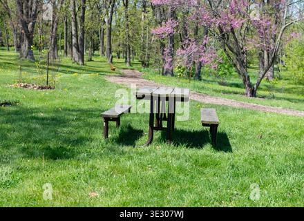 Table de pique-nique en bois avec bancs dans le parc verdoyant, paysage de printemps avec des arbres en fleurs et chemin dans un cadre naturel extérieur Banque D'Images