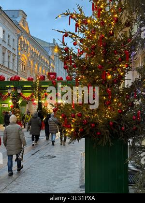 Moscou, Russie - 02 février 2025 : décorations du nouvel an chinois avec des ornements rouges, des pompons et des lumières festives ornant les arbres le long d'un décoré Banque D'Images
