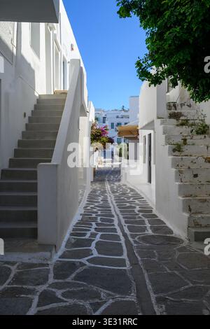 Ruelle étroite blanchie à la chaux avec des pavés traditionnels à Mykonos, Grèce Banque D'Images