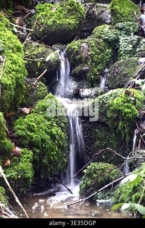 Pierres couvertes de mousse à Barden Beck près de la rivière Wharfe près de Strid Wood sur le domaine de Bolton Abbey dans le parc national des Yorkshire Dales, Angleterre, Royaume-Uni Banque D'Images