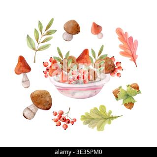 Clipart d'aquarelle de forêt d'automne avec champignons, baies, noix et feuilles. Illustration isolée des éléments de récolte des bois Banque D'Images