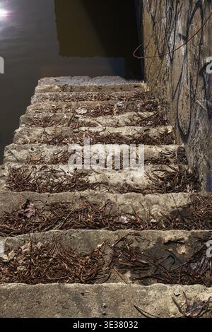 Vieux escalier en ciment coulé recouvert de brindilles tombées et de feuilles d'automne et menant au front de mer, Old Terrebonne, Québec, Canada Banque D'Images