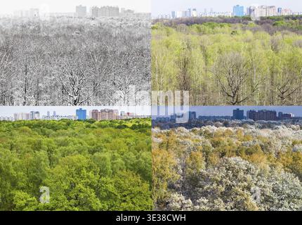 Collage de lignes d'horizon avec des maisons d'appartements et parc de la ville dans quatre divisions de l'année (hiver, printemps, été, automne) Banque D'Images