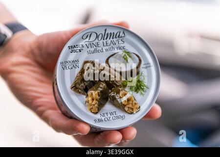 Charlottesville, États-Unis - 8 août 2025 : trader Joe's épicerie marque dolmas peut stocker vegan raisin vigne farci riz grec apéritif Banque D'Images