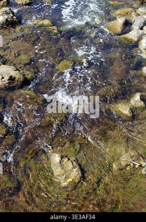 Gros plan d'un ruisseau peu profond avec de l'eau coulant sur des rochers Banque D'Images