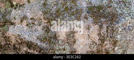 Gros plan d'une surface rocheuse naturelle recouverte de taches de mousse et de lichen, montrant des textures organiques détaillées et des tons terreux. Banque D'Images