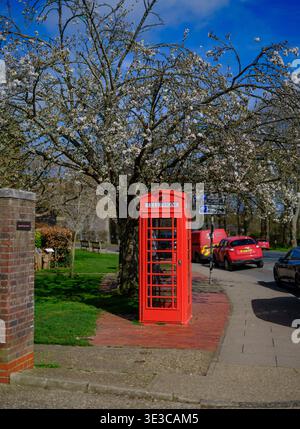 Une cabine téléphonique rouge dans Mill Road Arundel récemment restaurée se trouve sous la fleur rose d'un arbre, Une icône britannique et un point de repère dans Arundel West Sussex. Banque D'Images