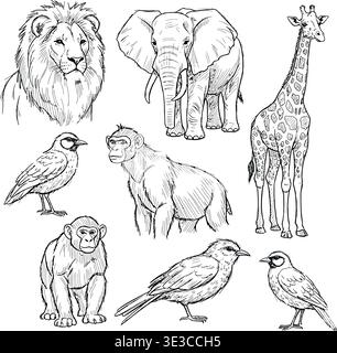 Esquisses de faune africaine dessinées à la main, Lion, éléphant, girafe et vecteurs primates Illustration de Vecteur