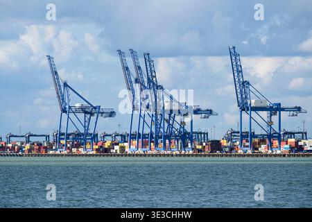 Grues de manutention de conteneurs dans le port de Felixstowe, Suffolk, Royaume-Uni Banque D'Images