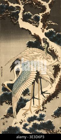 Grues sur pin couvert de neige - v. 1834 par Katsushika Hokusai 葛飾 北斎 japonais, 1760-1849 Banque D'Images