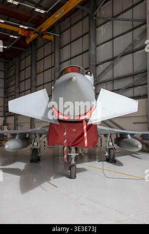 Un avion de chasse à réaction Eurofighter Typhoon FGR4 de la Royal Air Force, montrant les Canards installés à l'avant de l'avion. Banque D'Images