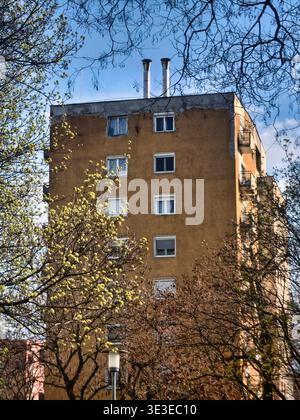 Une perspective verticale d'un immeuble résidentiel jaune vieilli à plusieurs étages à Budapest, en Hongrie. Le bâtiment est encadré par la branche sombre et naissante Banque D'Images