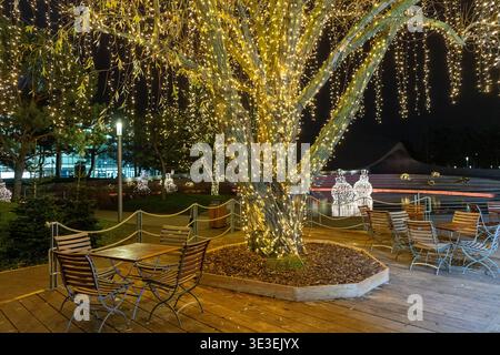 Éclairage extérieur festif avec arbre illuminé et coin salon confortable ambiance de vacances nocturnes Banque D'Images