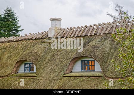 Chalet rustique au toit de chaume avec des fenêtres à sourcils distinctives et une cheminée blanche entourée d'arbres sous un ciel nuageux. Banque D'Images