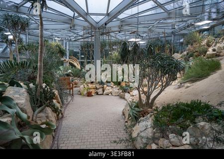 Vue intérieure large d'une serre aride avec des plantes succulentes et des lits rocheux au jardin botanique de Palmengarten, Francfort-sur-le-main, Allemagne. Banque D'Images