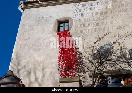 Détail d'un mur de château en plâtre avec écriture historique fanée et feuilles de lierre rouge vif au château de Bran en Transylvanie, Roumanie. Banque D'Images