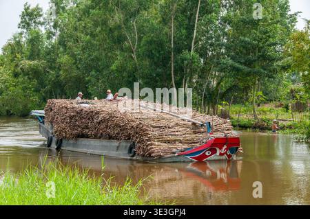 Bateau cargo transportant des cajeput dans le delta du Mékong Banque D'Images