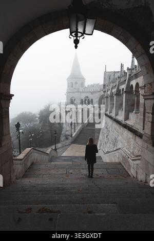 Vue d'une figure solitaire descend des marches de pierre encadrées par une arche, menant au bastion brumeux des pêcheurs, une scène de grandeur tranquille, Budapest Banque D'Images
