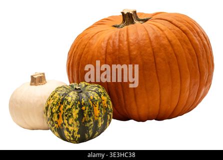 Trois citrouilles sont disposées ensemble sur un fond clair. Il y a une grande citrouille orange, une citrouille rayée verte et jaune moyenne, et une petite Banque D'Images