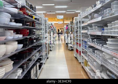 Une femme fait ses courses dans un magasin Daiso de 100 yens à Shinjuku, alors que le détaillant à prix réduits japonais continue d’étendre sa présence mondiale dans un contexte de forte popularité à l’étranger. Connu pour sa large gamme d'articles ménagers abordables, Daiso offre des produits comprenant des ustensiles de cuisine, vaisselle, papeterie, cosmétiques, fournitures de nettoyage, articles de stockage, outils de jardinage, collations et produits saisonniers, attirant les clients avec sa variété et ses prix bas. La société exploite des milliers de magasins à travers le monde en Asie, en Amérique du Nord, en Europe et au moyen-Orient, ce qui en fait l’une des marques de vente au détail les plus reconnaissables du Japon à l’étranger. Banque D'Images