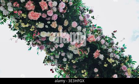 Arrangement floral en cascade formant une arche colorée sur fond blanc Banque D'Images