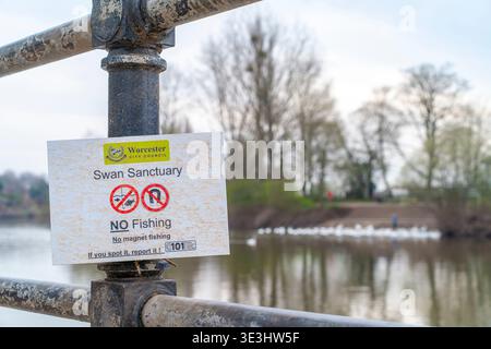 Vue rapprochée d'un sanctuaire des cygnes, pas de pêche, pas de signe de pêche magnétique, sur un poteau en fonte sur la rivière Severn à Worcester, surplombant un troupeau de SW Banque D'Images