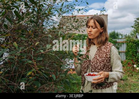 Jeune agricultrice cueillant soigneusement les cerises mûres d'un arbre dans son verger, tenant un bol rempli de fruits fraîchement récoltés, profitant de la générosité de son jardin d'été Banque D'Images
