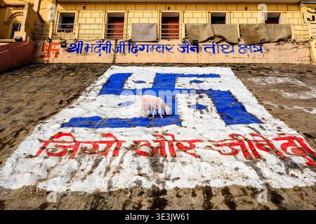 Une petite chèvre se dresse sur un grand symbole swastika bleu et blanc peint sur la pente de pierre de Bhadaini Ghat dans la ville historique de Varanasi. Varanasi U Banque D'Images