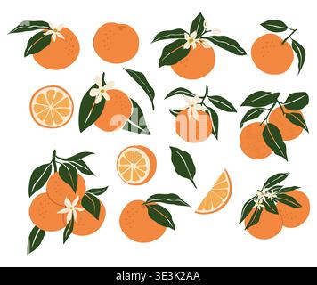 Ensemble d'oranges vives avec des feuilles vertes Illustration de Vecteur
