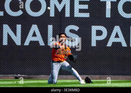 Washington, États-Unis. 23 mars 2026. Colton Cowser (8), le joueur du centre des Orioles de Baltimore, se lance sur le terrain intérieur après avoir attrapé une boule volante du deuxième joueur des Washington Nationals Luis Garcia Jr. (2) en fin de quatrième manche lors d'un match hors concours entre les Washington Nationals et les Baltimore Orioles au Nationals Park à Washington, DC le lundi 23 mars 2026. Les Orioles battent les nationaux 2-0. Photo de Bonnie Cash/UPI crédit : UPI/Alamy Live News Banque D'Images