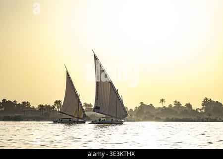 Vue sur la rivière des felouques naviguant sur les eaux tranquilles du Nil, encadrées par les teintes dorées du crépuscule et les silhouettes des palmiers, Louxor, Louxor G. Banque D'Images