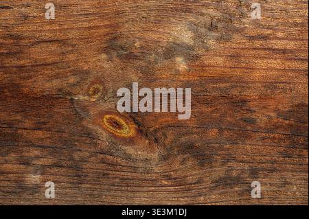 Planches en bois brun chaud avec grain détaillé et texture de noeud, fond naturel rustique avec motif organique, surface en bois vieilli pour le design et le produc Banque D'Images