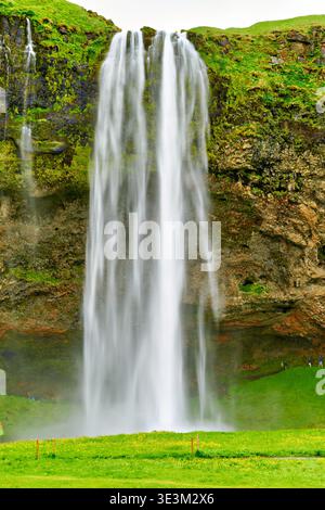 La cascade de Seljalandsfoss descend les falaises rocheuses, entourées d'herbe verte. Les visiteurs se tiennent à proximité et apprécient la vue et la brume des chutes. Banque D'Images