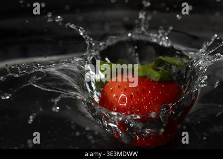 Éclaboussures de fraises dans l'eau claire – macro gros plan avec gouttelettes dynamiques Banque D'Images