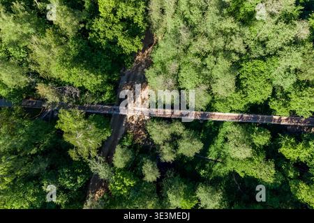Vue sur un drone : une charmante passerelle en bois s'étend sur un ravin boueux, embrassé par une forêt verdoyante et vibrante Banque D'Images