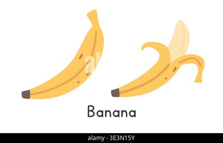 Ensemble d'illustration vectorielle plate banane. Banane jaune ou Musa fruit style clipart de dessin animé isolé sur fond blanc. Banane entière et banane pelée Illustration de Vecteur