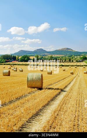 L'Eildon Hills du sud-est sur un champ de maïs récoltés près de terres agricoles dans la région de Boswell les frontières de l'Écosse, Royaume-Uni Banque D'Images