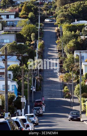 Baldwin Street, la rue résidentielle la plus raide du monde, Dunedin, Otago, Île du Sud, Nouvelle-Zélande. Banque D'Images
