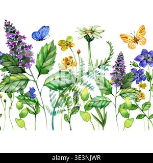 Motif de bordure d'aquarelle dessiné à la main sans couture avec une prairie clairsemée de papillons, fleurs sauvages, marguerites, lavande, papillons jaunes, et Banque D'Images