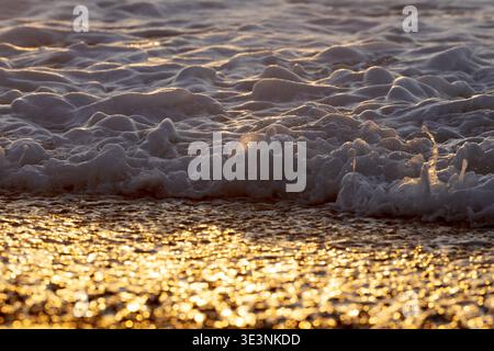 Vagues brisant sur la plage de galets dans la lumière dorée, zone du patrimoine mondial de te Wahipounamu près de Haast, côte ouest, île du Sud, Nouvelle-Zélande Banque D'Images