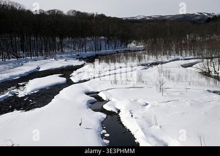 Forêt d'hiver, rivière et montagne couverte de neige à Hokkaido, Japon. Banque D'Images
