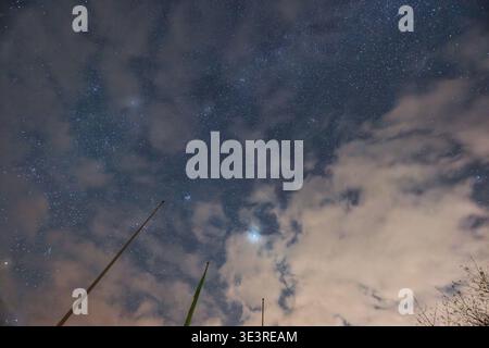 Un beau ciel nocturne rempli d'innombrables étoiles partiellement couvertes par des nuages avec des mâts de drapeau silhouettes atteignant vers le haut au premier plan. Banque D'Images