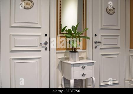 Vue de face des élégantes portes blanches numérotées 104 et 105 avec une petite table console Banque D'Images