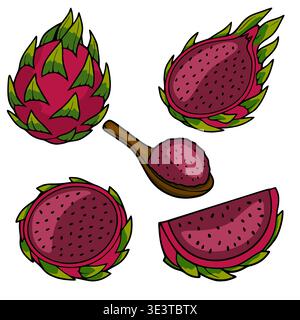 Illustration vectorielle vibrante de tranches de fruits de dragon, de fruits entiers et de pulpe dans une cuillère Illustration de Vecteur