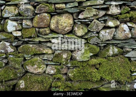 Mur de pierre sèche recouvert de mousse dans le Lake District, montrant l'artisanat traditionnel Cumbrien avec des pierres recouvertes de lichen Banque D'Images