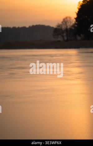 Un coucher de soleil hivernal tranquille sur un lac gelé en Lettonie, projetant une douce lueur dorée sur la glace. Les arbres aux silhouettes rehaussent cette terre sereine et pittoresque Banque D'Images