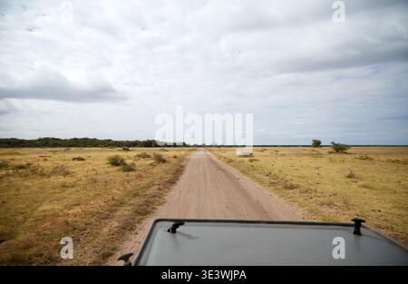 Une vue captivante sur une route de safari poussiéreuse à travers la savane ouverte dans la zone de conservation de Ngorongoro, Tanzanie. Les nuages dérivent au-dessus, et végétati clairsemé Banque D'Images